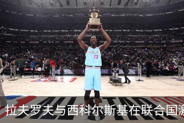 拉夫罗夫与西科尔斯基在联合国激烈交锋